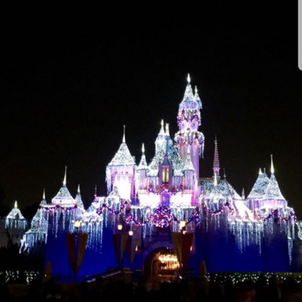 Meet your Posher, Pauline